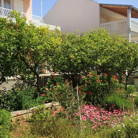 With Parking Space Orebic, Peljesac - 10070 * Orebić